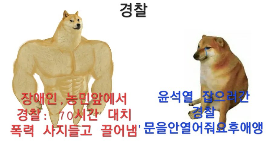 경찰의이중성