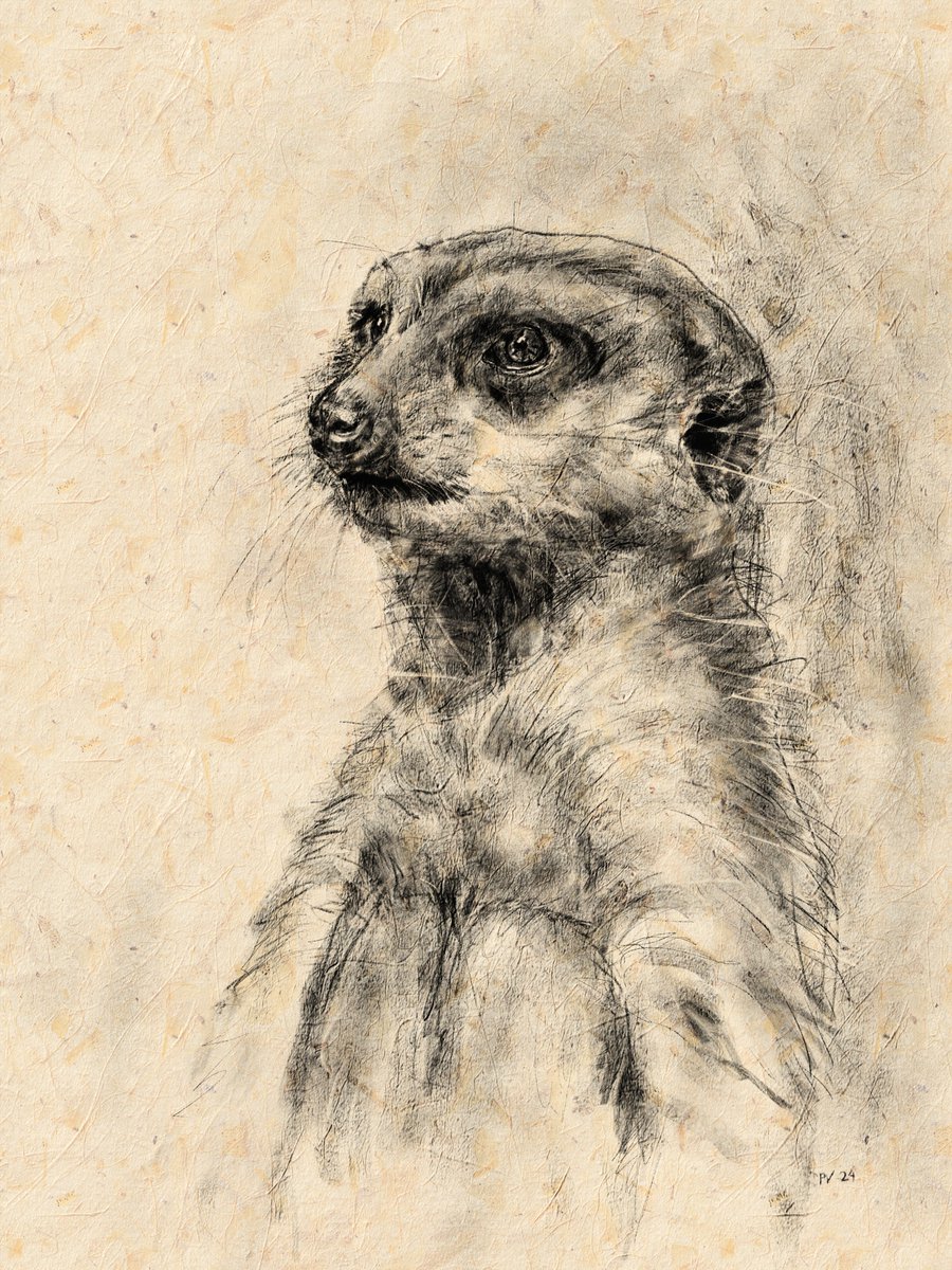 Looking at Something
#digitalart #art #artwork #drawing #artist #digital #illustration #digitaldrawing #digitalpainting #painting #animal #portrait