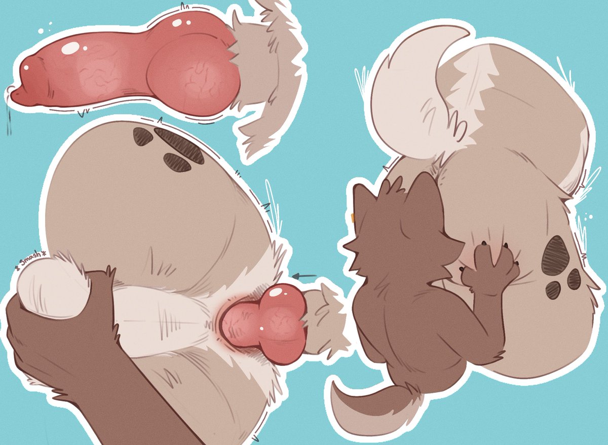 SadaxiS 🅰️ tweet media