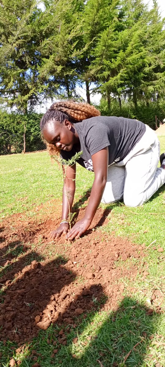 My happy new year tree, Jacaranda tree

2025 Vibes;

Hands in the dirt, 

Boots on the ground, 

Head in the sun, 

Heart with nature. 

Plant trees, plant hope

#Trees #treelover #ClimateAction #conservation #Sustainability