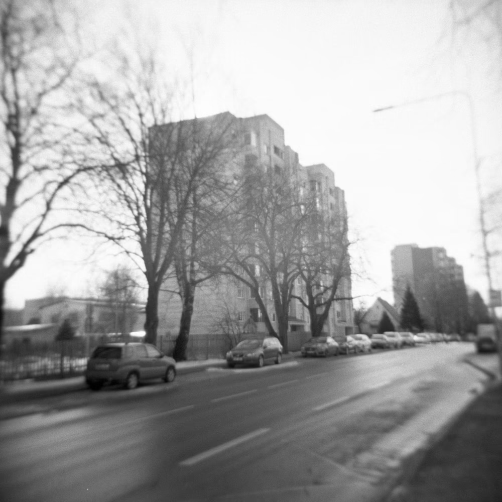 ALassetur's tweet image. ------------------------------------------------------
Friday morning arrived gently, enveloping the house in calm. The aroma of fresh coffee mixed with the crisp winter air sneaking through the windows.

#PhotoNFT #lassetur #nfts #NFT #NFTCommunity #NFTCollection #NFTfam #art…