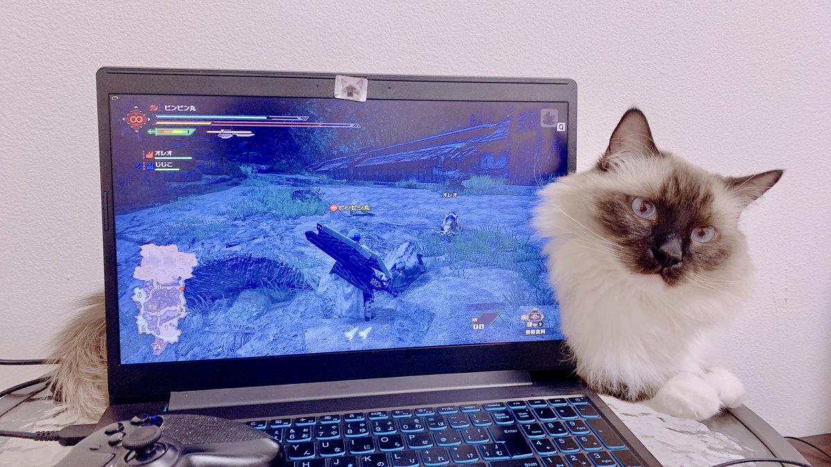 shamuel_wraith's tweet photo. 正月にモンハンライズデビューしてたらPCから猫生えてた🐈 https://t.co/t0nXTG5BnI