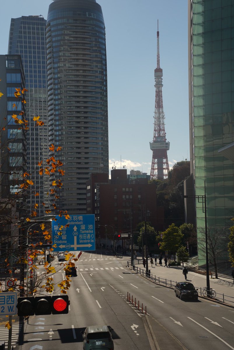 _AZebra_'s tweet photo. Tokyo 🇯🇵 https://t.co/HQWsukjOrB