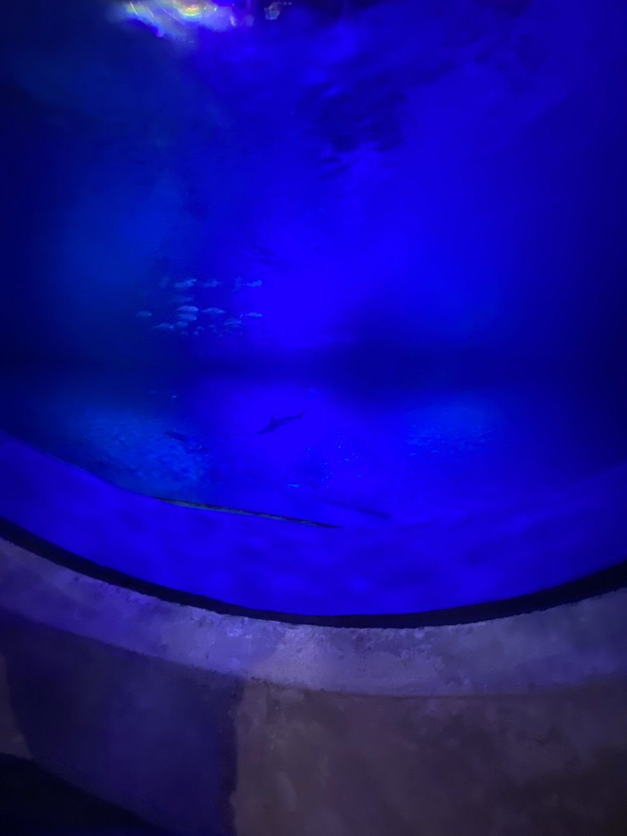 One of the best museum in Miami