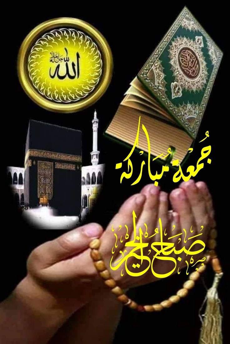 سناء نايف tweet media