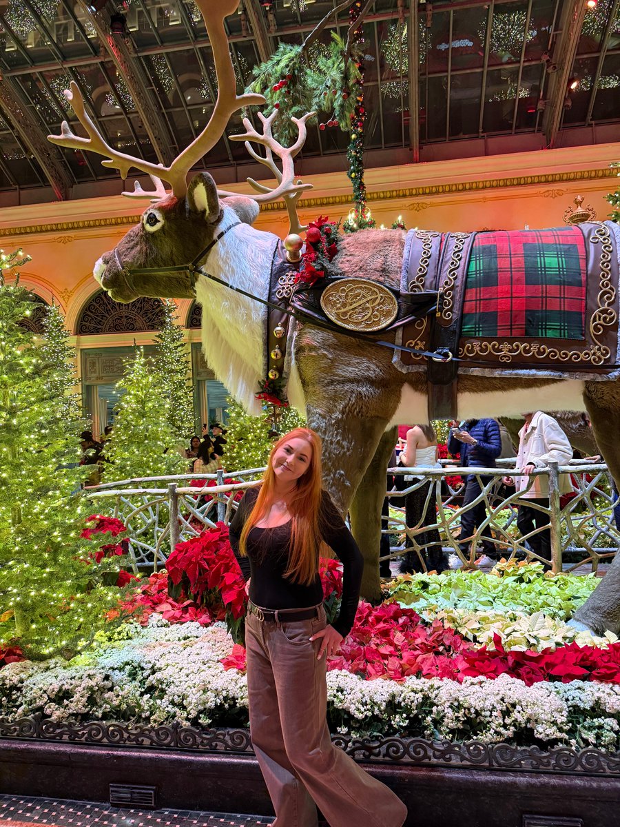 Marzipans tweet media