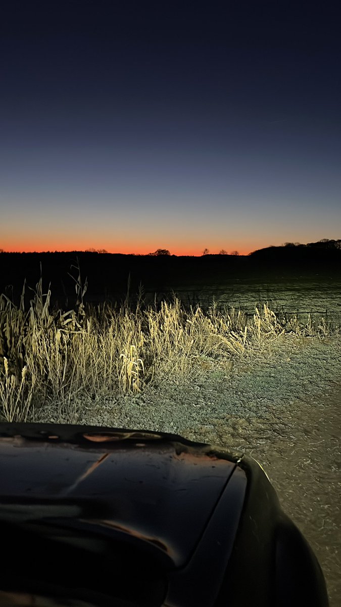 Bit cooler feeding round this morning
