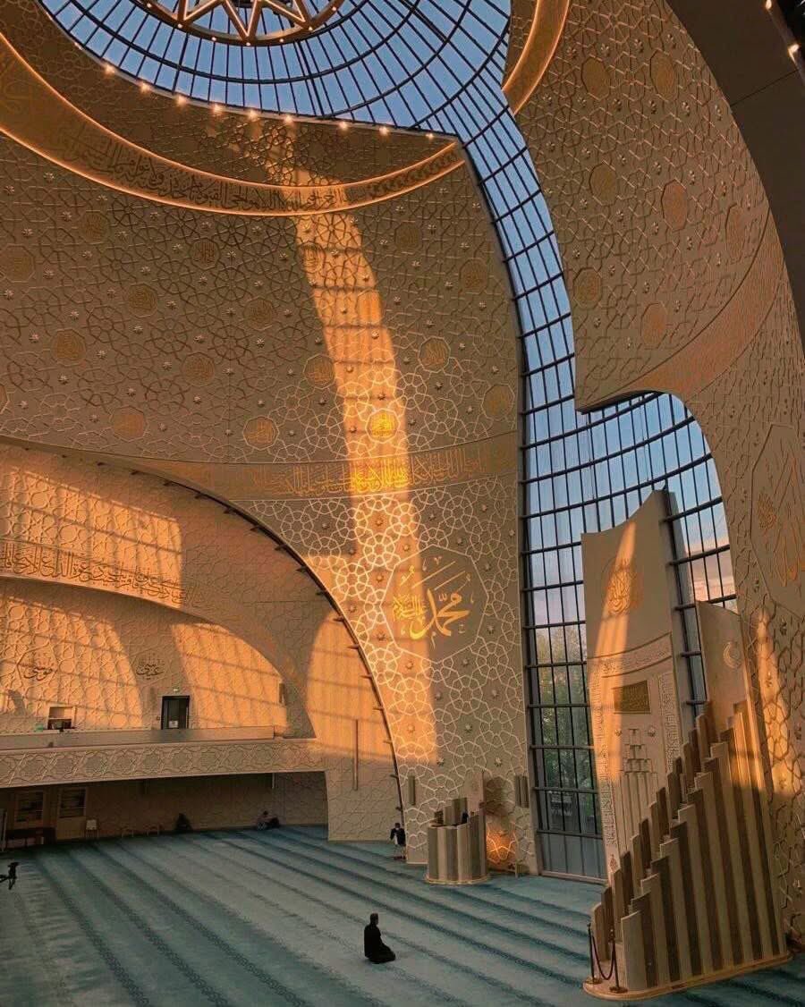 «وَلَن تَجِدَ مِن دُونِهِ مُلْتَحَدًا»
- الكهف (٢٧) | الملتحد: الملجأ.