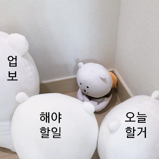 오늘도 집 가고 싶어서 주워온 짤이에요