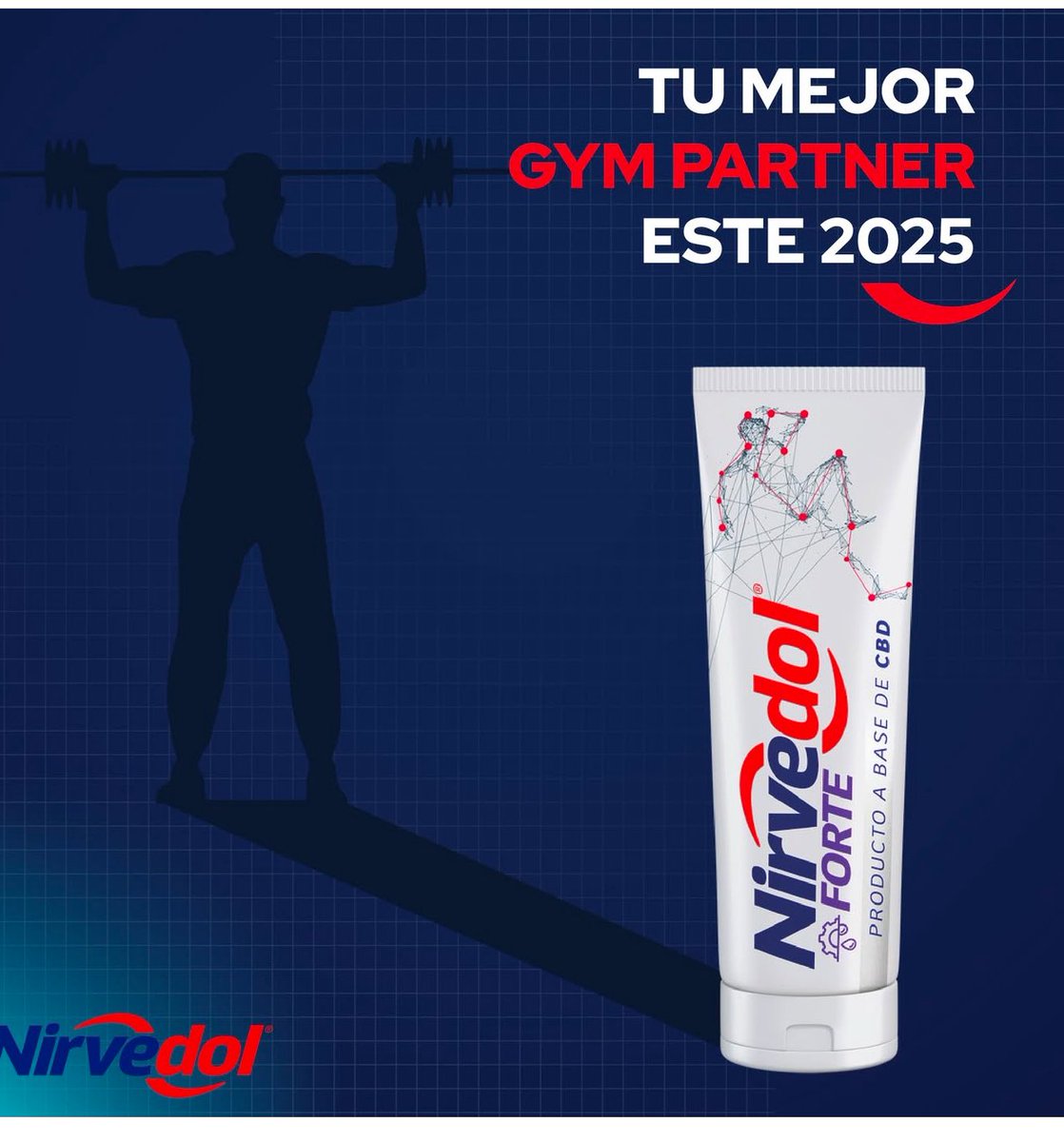 FelixScottA's tweet photo. Comenzamos 2025
 #mexico #gym https://t.co/z0UbQ2SoyU