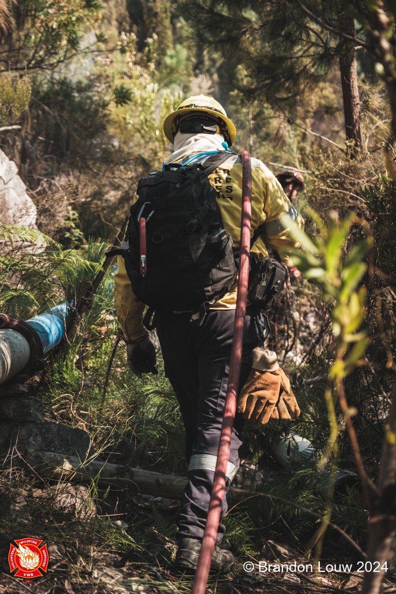 VWS Wildfires tweet media