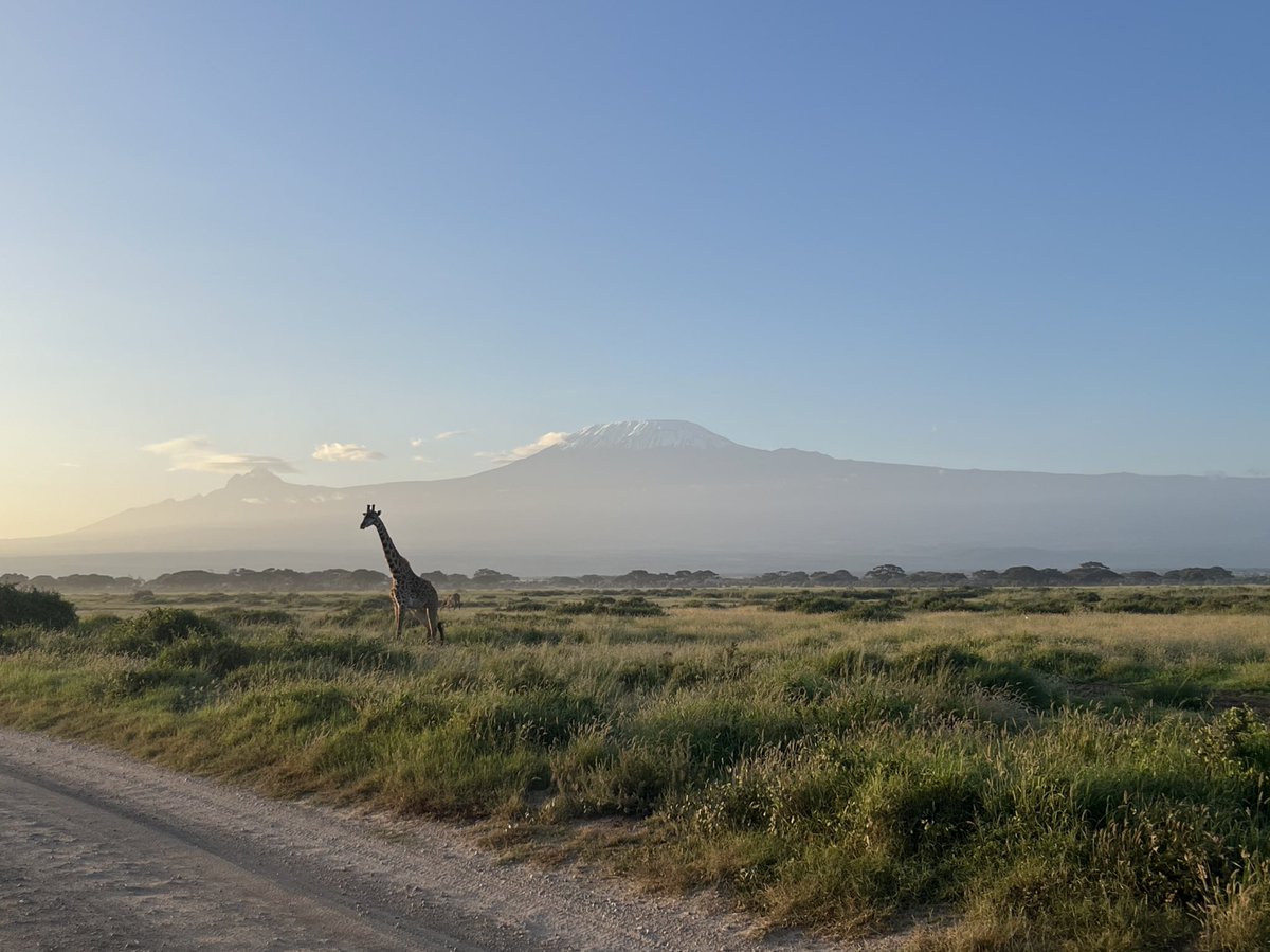 Nikolaus Ostermann tweet media