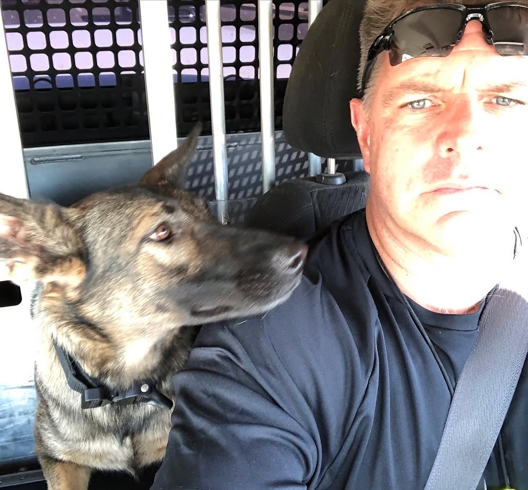 Spikesk9fund's tweet image. Spike’s Pack, let’s all wish K9 Yewa a happy retirement! 🐺🎉

Yewa, a single-purpose #ExplosiveDetectionK9, served with the Tucson Airport Authority PD, AZ. She’s a proud beneficiary of our #SpikesSchool &amp;amp; has been an exceptional, hardworking partner to her handler, Gordon.…