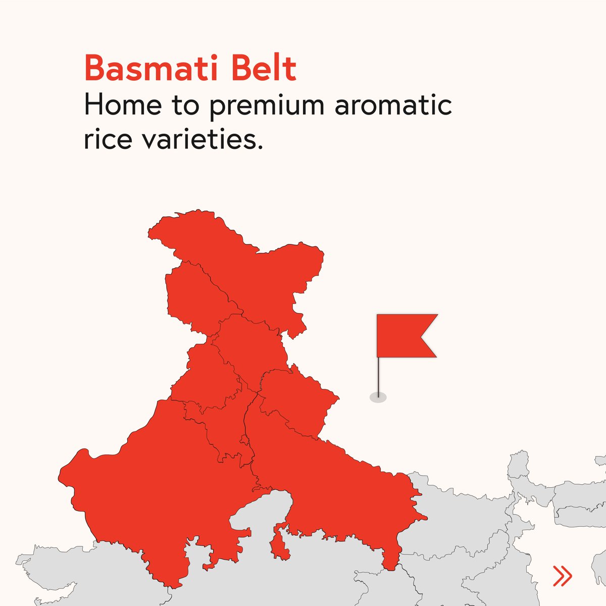 CommoditiesTorq's tweet photo. Feeding over 3.5 billion people, India’s rice landscape is quite the mass spectacle to marvel at.
4 major regions influence this landscape - know more in the illustrations here.
#torqcommodities #rice #india #geography #cultivation #agriculture https://t.co/4lPRmCt3lx
