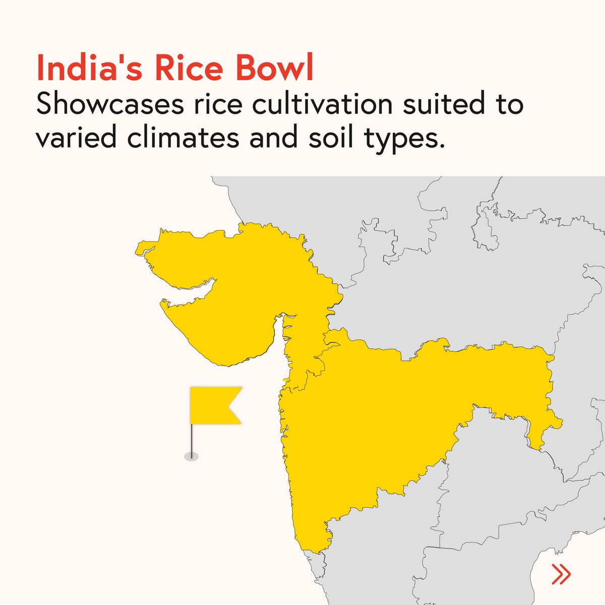 CommoditiesTorq's tweet photo. Feeding over 3.5 billion people, India’s rice landscape is quite the mass spectacle to marvel at.
4 major regions influence this landscape - know more in the illustrations here.
#torqcommodities #rice #india #geography #cultivation #agriculture https://t.co/4lPRmCt3lx