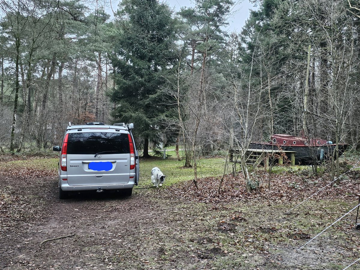 Oud en nieuw, gevlucht voor de vuurwerkterreur.
Happy New Year!