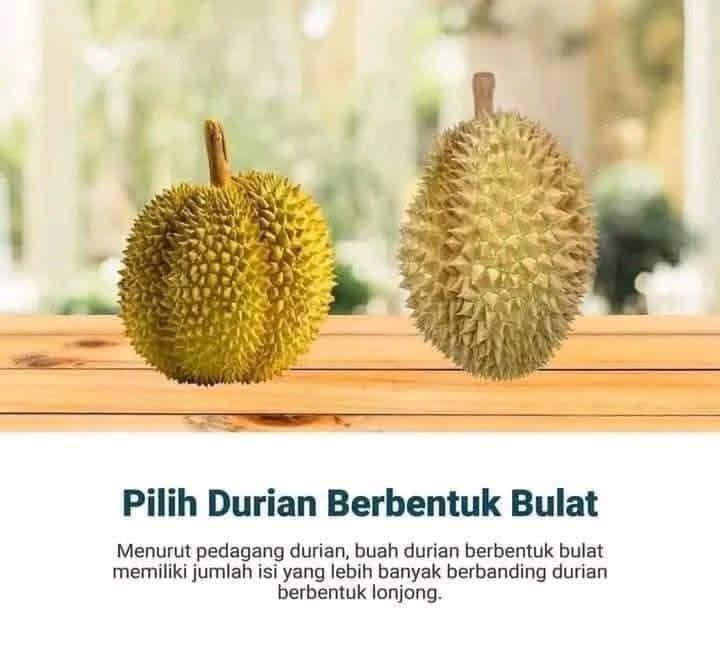 LAGI MUSIM. INI TIPS MEMILIH DURIAN.
HAFALKAN DULU BIAR GAK DAPAT YANG ZONK
😁😁😁😁😁😁😁😁😁😁😁