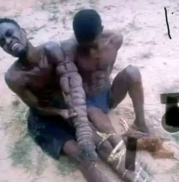 የአብይ አህመድ እና ግብረአበሮቹ ጭካኔ በአማራ ልጆች ላይ ከሒትለራዊ ተግባር የባሰ አለም ላይ ሊገለፅበት ቃል የጠፋለት ዘግናኝ የክፋት ድርጊት።😭