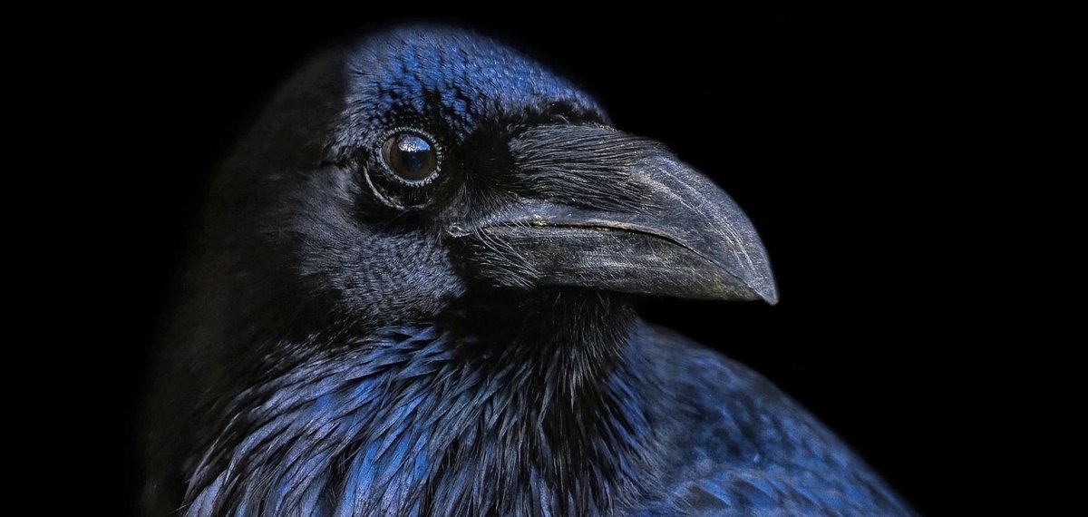 Günün öyküsü: Mendil ve Kir

edebiyatatolyesi.net/mendil-ve-kir/…