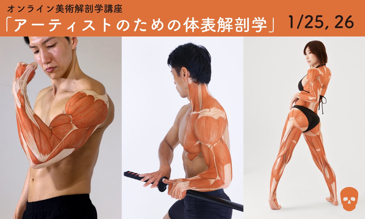 【値下中】アーティストのための体表解剖学　3冊セット　美術解剖学 値下中】アーティストのための体表解剖学 3冊セット 美術解剖