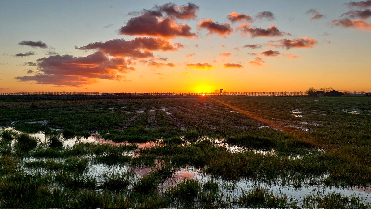 Goedemorgen vanuit mijn zonnige (en natte) tuin🌞 #spiegeling #mijntuin #zonsopkomst #buitenleven #mooieluchten Fijne dag🍀🫶