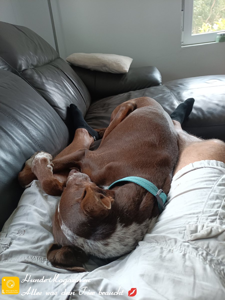 brettermacher's tweet image. Immer wenn es am schönsten ist, soll man aufhören. Heute renovieren wir unser neues Gäste-Apartment! Nur ein halber Tag, aber es wird großartig! Ich liebe Freitag! #RenovationTime #NewBeginnings #FridayVibes