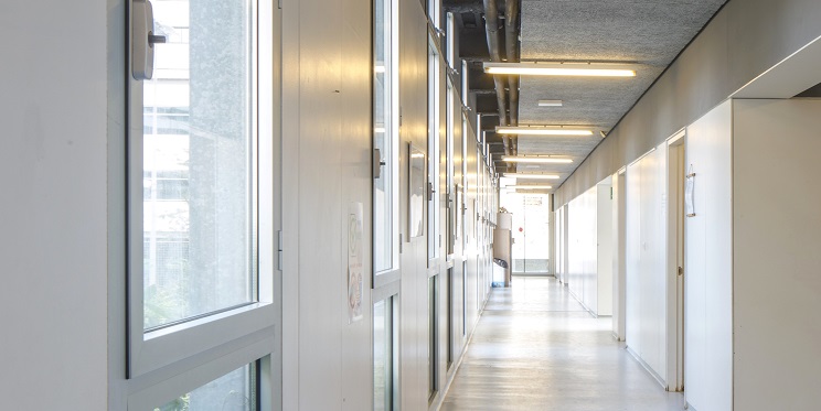 🚧 Durant vacances es fan obres de millora a 67 centres de la ciutat: 

🧹Pintures i revestiments
♻️Transició energètica
✨Transformació patis
🍽️Menjadors, cuines i mobiliari
🏫 Avanç de les grans actuacions anuals i noves construccions en marxa

+ detalls edubcn.cat/ca/noticies/de…