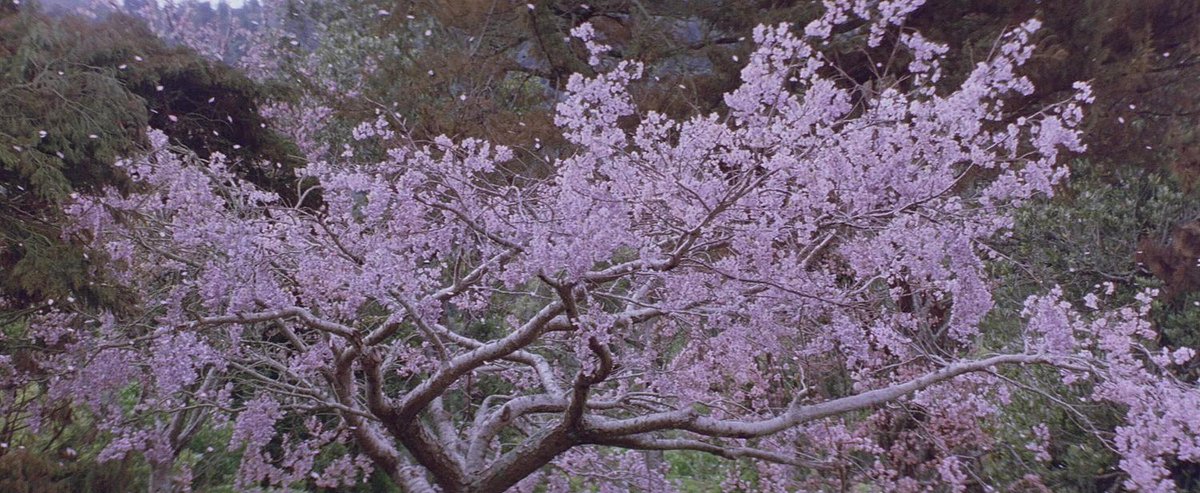 CinemaScene404's tweet photo. The Last Samurai (2003) 
Dir: Edward Zwick https://t.co/13hWU6F8yl