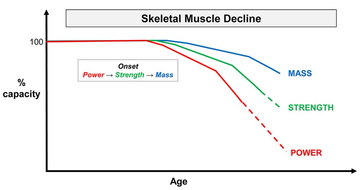 #Muscle power more influential than muscle strength &amp; mass in enhancing physical function &amp; reducing falls

🔸Dynapenia ▶️strength loss
🔸#Sarcopenia ▶️muscle mass loss
🔸Powerpenia ▶️power loss

👉🏽sportsmedicine-open.springeropen.com/articles/10.11…
by <a href="/sandro10freitas/">Sandro R. Freitas</a>  et al <a href="/SportsMedicineJ/">Sports Medicine</a>