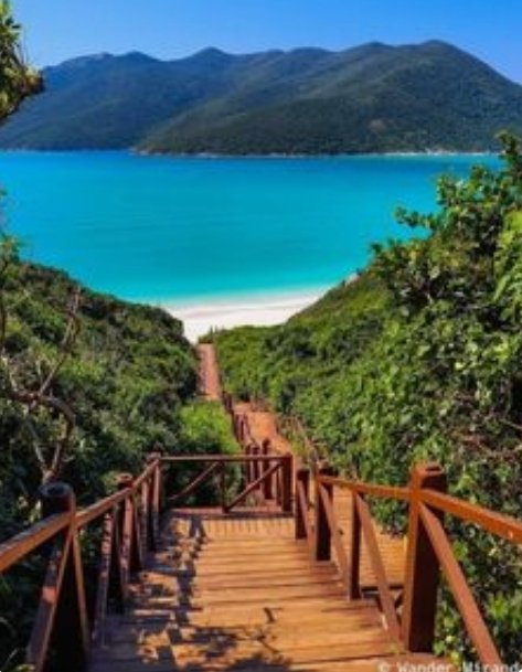 Bom dia pessoas 🍀

Búzios - Rio de Janeiro 🇧🇷