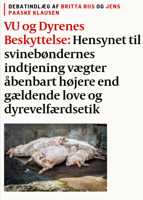 - <a href="/VUngdom/">Venstres Ungdom</a> ønsker også grisefarme, hvor færre dyr dør utidigt, og landmænd har lettere ved at overholde reglerne som følge af en mindre intensiv produktion og dermed bedre dyrevelfærd.
politiken.dk/debat/debatind…