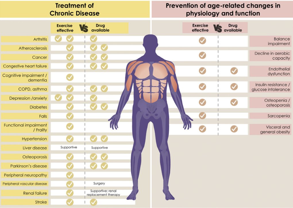 Dr Ai Lyn Tan (@drailyntan) on Twitter photo Optimal #exercise recommendations for enhancing longevity
Tips for improving adherence
✅Ensure participants understand benefits
✅Integrating exercise into lifestyle
✅Make exercise enjoyable: music, variety, social, celebrate achievements
👉🏽sciencedirect.com/science/articl…
via <a href="/JNHA6/">The Journal of Nutrition, Health & Aging</a> Optimal #exercise recommendations for enhancing longevity
Tips for improving adherence
✅Ensure participants understand benefits
✅Integrating exercise into lifestyle
✅Make exercise enjoyable: music, variety, social, celebrate achievements
👉🏽sciencedirect.com/science/articl…
via <a href="/JNHA6/">The Journal of Nutrition, Health & Aging</a>