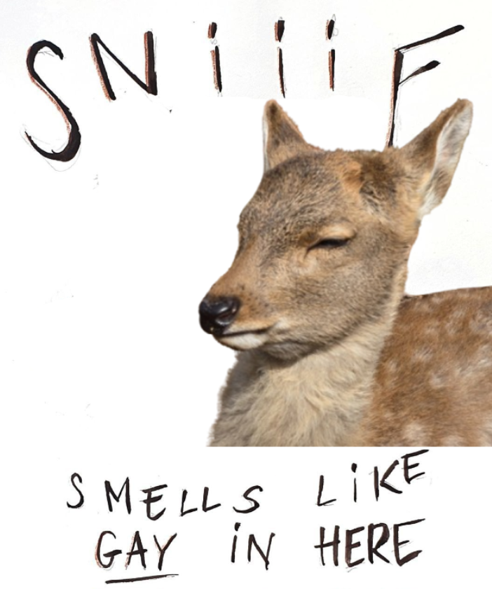 transgendeer (@ciervatonta) on Twitter photo 