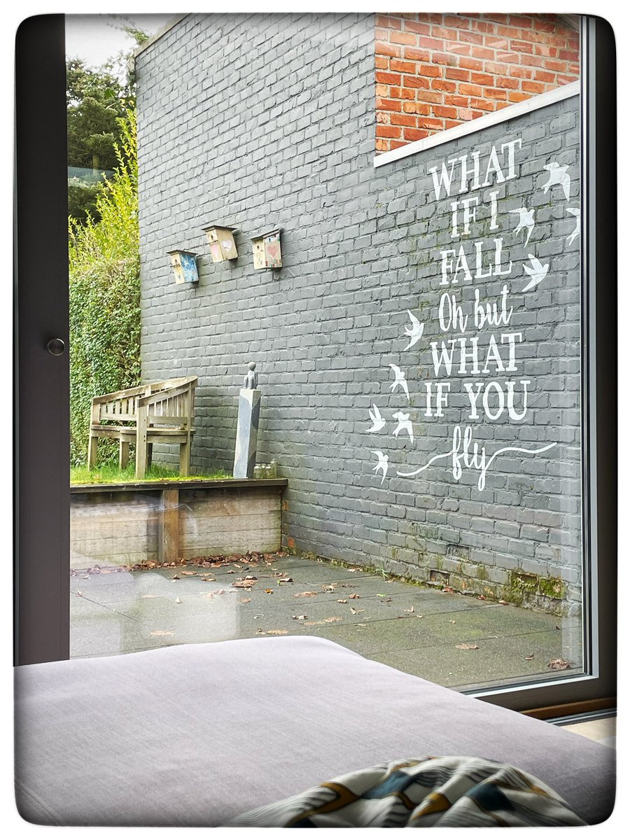 Nel Belgium 🇧🇪 tweet media