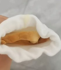 meljunosias's tweet photo. 开饭了，贱狗 https://t.co/RZ5NnlowCf