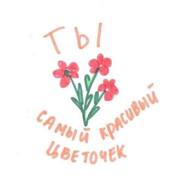 Гибискус tweet media