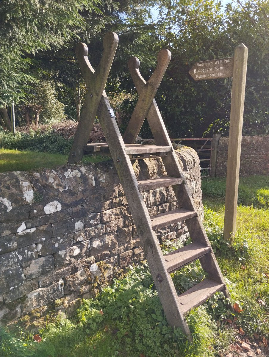 Hadrian's Wall Fingerpost for #FingerPostFriday

And a fabulous stile as a bonus 🙂