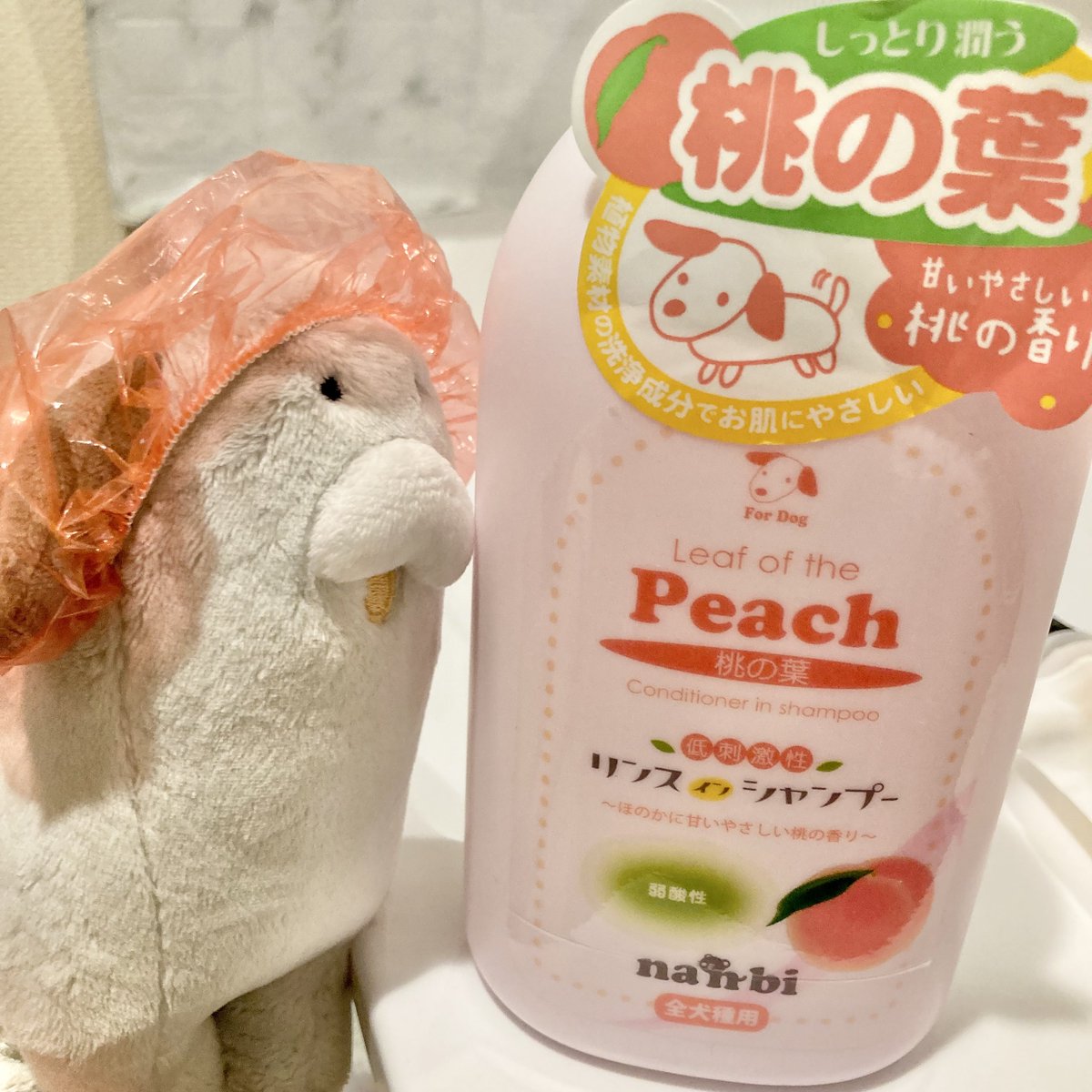 ふわんわん🐶3/31〜仙台ロフト tweet media