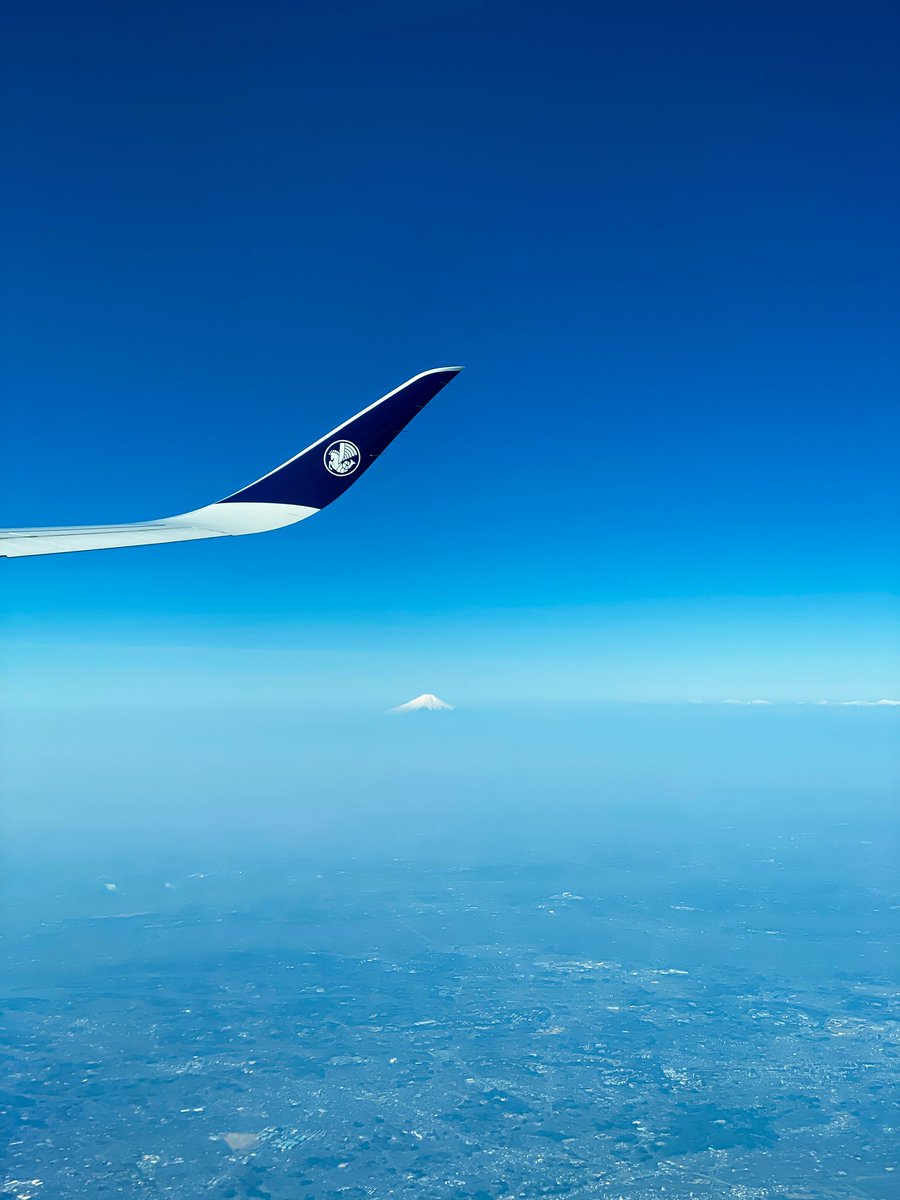 medusethon117's tweet photo. @transaviaFR Pas la bonne compagnie je crois 🙃 https://t.co/eWddMzWQaB