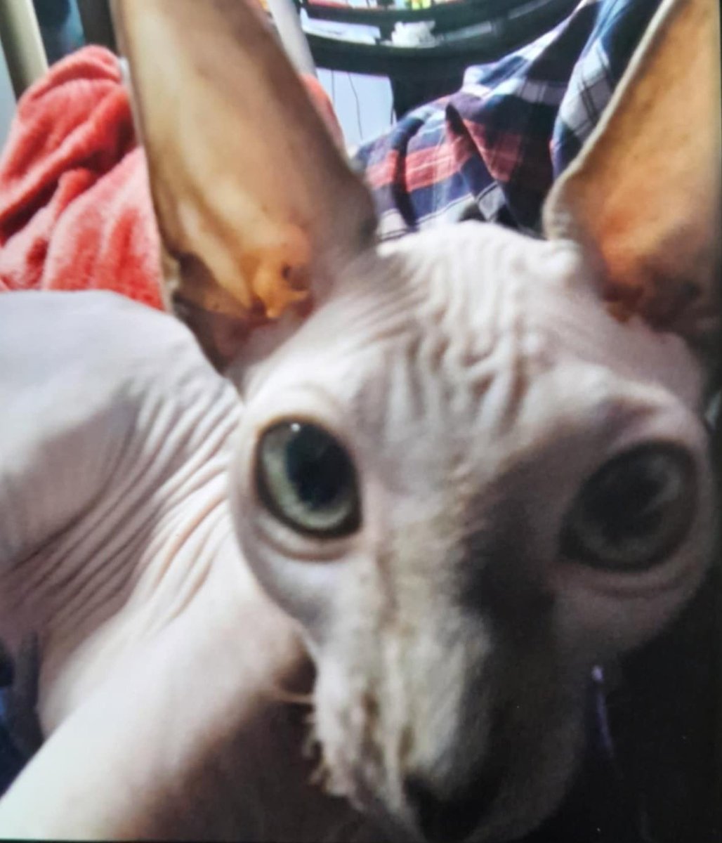 Nacki (@nacki56) on Twitter photo 