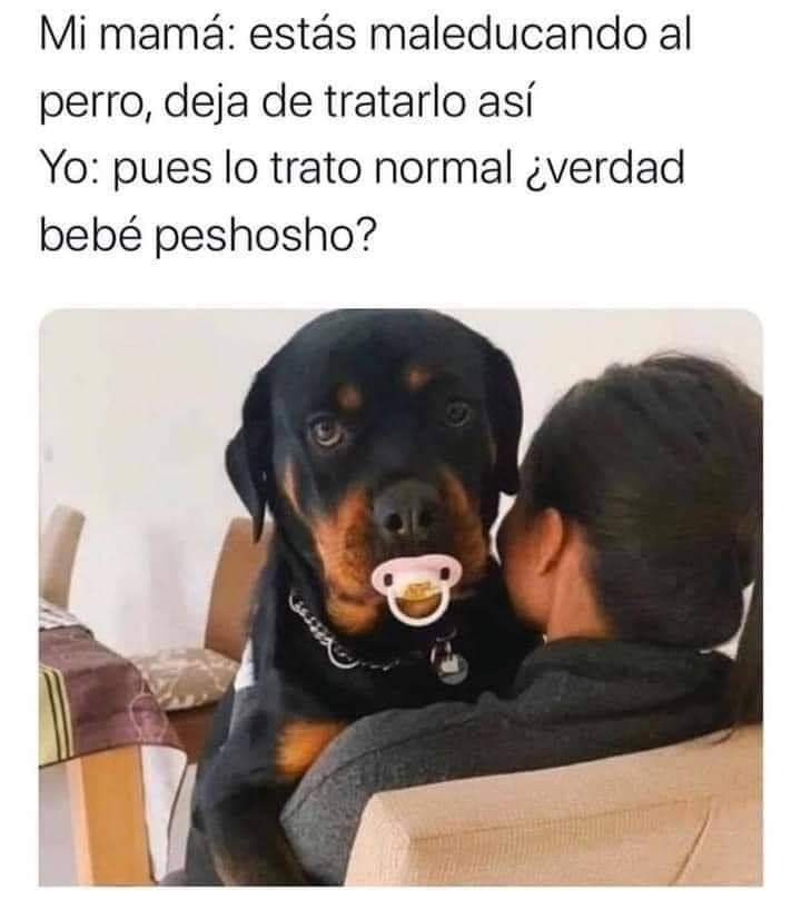Uriel (@uriel66689314) on Twitter photo Feliz miércoles! <a href="/nydiacervera/">Nydia Cervera</a> <a href="/Marilu86053/">Marilú 💕🐘🐘🐘💕 🇲🇽</a> <a href="/addy_pink/">Pinky</a> <a href="/Becky_P7/">Becky</a> <a href="/antymob/">Miss Anty Mobarak</a> <a href="/mtz_tt/">B€TT¥ ツ</a> <a href="/DaliaMRocha/">Yaya Rocha</a> <a href="/EYACAR65/">EYA</a> <a href="/EsEstra/">A L I 🐾</a> <a href="/lasaguis/">lasg</a> <a href="/LETICIA777/">LETICIA TORRES</a> <a href="/Negra_start/">Ⓝⓔⓖⓡⓐ</a> @JohannaLizalde <a href="/rumabo1/">Pata perruna 🐾🐾</a> <a href="/MARLENE_STAHL/">MARLENE 🦋</a> <a href="/Hera_Sea/">★ FRECDA, CAPÍTULO SAN LUIS POTOSÍ</a> <a href="/Vivalyk/">♓⭐🍒 Bárbariux 🍒⭐❤&💫</a> <a href="/akyoshi09/">Fabiola</a> <a href="/hidra881/">Teresa Velazquez Rodriguez</a> <a href="/duky1107/">Claudia</a> @PipianM <a href="/CasLaaU/">Soy Lau. 💜🍉</a> <a href="/MxActivista/">🐾ActivistaMX🌎</a> <a href="/1pantonio/">Antonio Palacios: Las mujeres no tienen pene</a> Feliz miércoles! <a href="/nydiacervera/">Nydia Cervera</a> <a href="/Marilu86053/">Marilú 💕🐘🐘🐘💕 🇲🇽</a> <a href="/addy_pink/">Pinky</a> <a href="/Becky_P7/">Becky</a> <a href="/antymob/">Miss Anty Mobarak</a> <a href="/mtz_tt/">B€TT¥ ツ</a> <a href="/DaliaMRocha/">Yaya Rocha</a> <a href="/EYACAR65/">EYA</a> <a href="/EsEstra/">A L I 🐾</a> <a href="/lasaguis/">lasg</a> <a href="/LETICIA777/">LETICIA TORRES</a> <a href="/Negra_start/">Ⓝⓔⓖⓡⓐ</a> @JohannaLizalde <a href="/rumabo1/">Pata perruna 🐾🐾</a> <a href="/MARLENE_STAHL/">MARLENE 🦋</a> <a href="/Hera_Sea/">★ FRECDA, CAPÍTULO SAN LUIS POTOSÍ</a> <a href="/Vivalyk/">♓⭐🍒 Bárbariux 🍒⭐❤&💫</a> <a href="/akyoshi09/">Fabiola</a> <a href="/hidra881/">Teresa Velazquez Rodriguez</a> <a href="/duky1107/">Claudia</a> @PipianM <a href="/CasLaaU/">Soy Lau. 💜🍉</a> <a href="/MxActivista/">🐾ActivistaMX🌎</a> <a href="/1pantonio/">Antonio Palacios: Las mujeres no tienen pene</a>