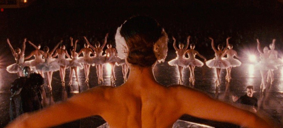 LunaVidal2004's tweet photo. Cisne Negro https://t.co/DUcwNCxmFc