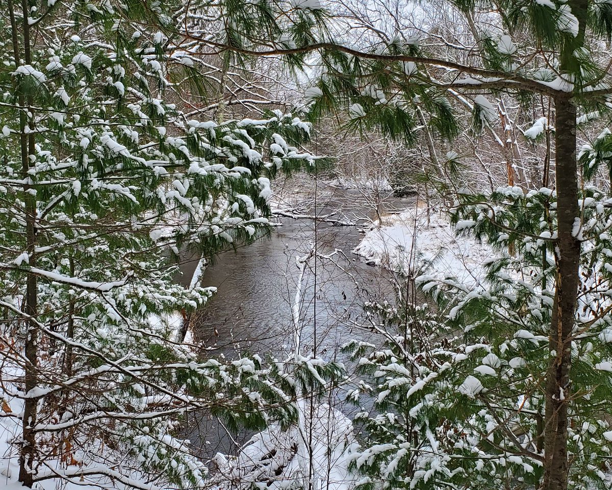 Land Conservancy of West Michigan tweet media