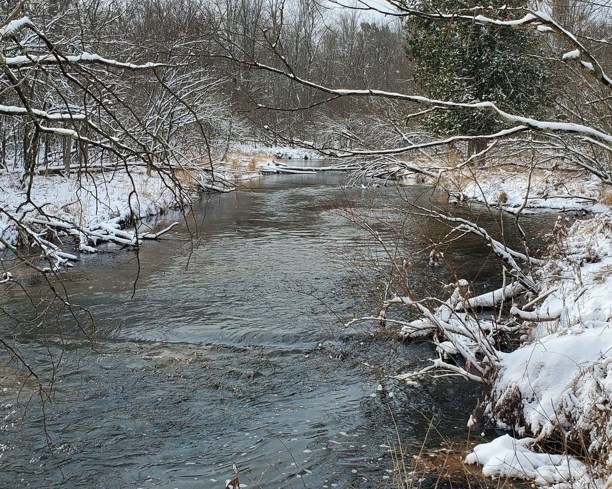 Land Conservancy of West Michigan tweet media