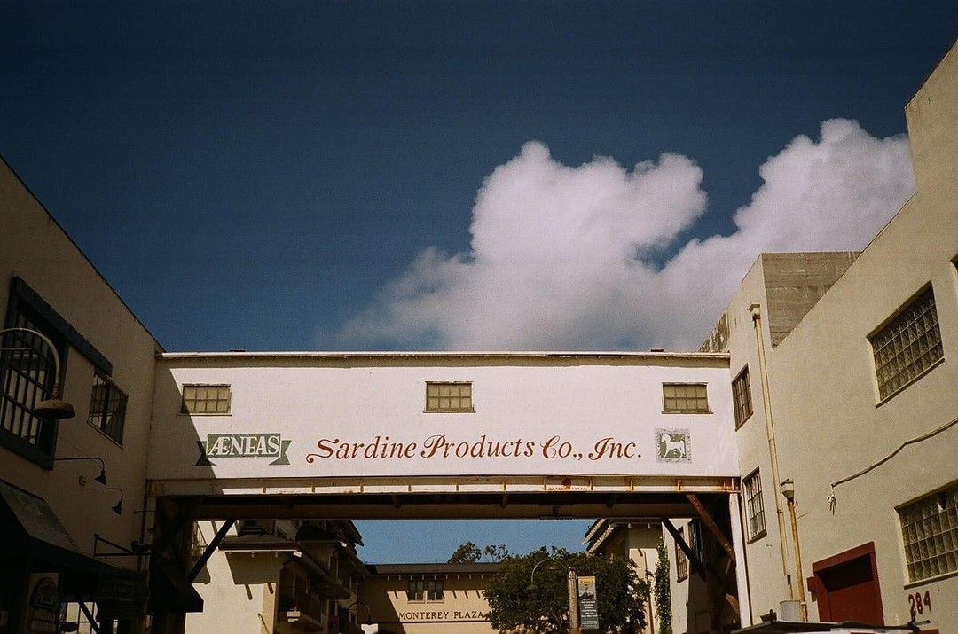 Cannery Row’s beauty never goes out of style. Thanks to <a href="/_ces/">Crystal Scott</a>.behindlens for capturing this timeless scene. Explore more at CanneryRow.com.
.
.
.
#CanneryRow #MontereyMoments #CaliforniaCoastline #VisitCalifornia