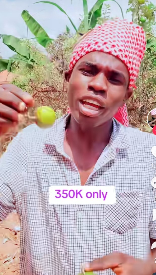 BUSEGU MASTER tweet media