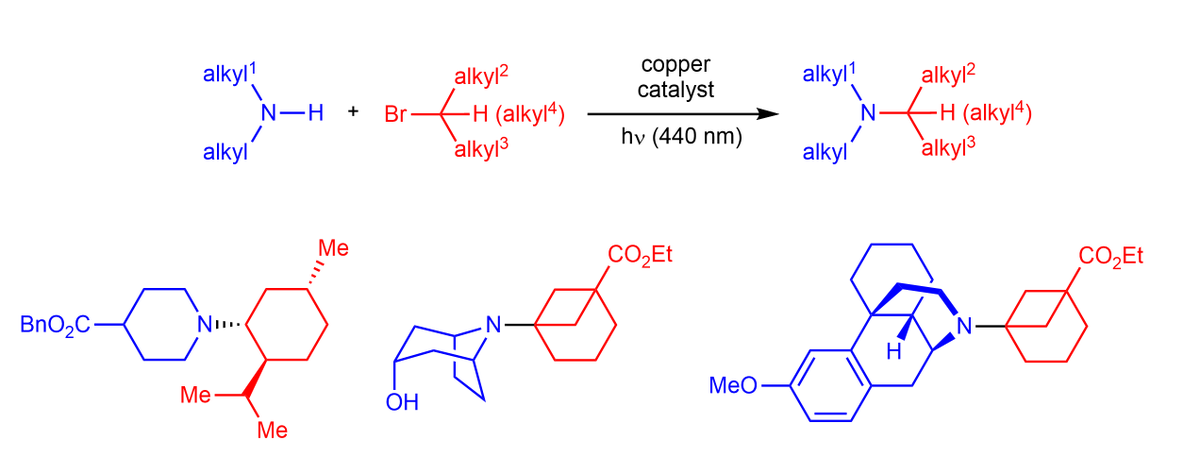 Excited to share our new paper in <a href="/NatureChemistry/">Nature Chemistry</a>  on copper-catalyzed synthesis of N-tertiary alkyl amines!  Bonus: MTBE can be used as a more practical alternative! doi.org/10.1038/s41557…
