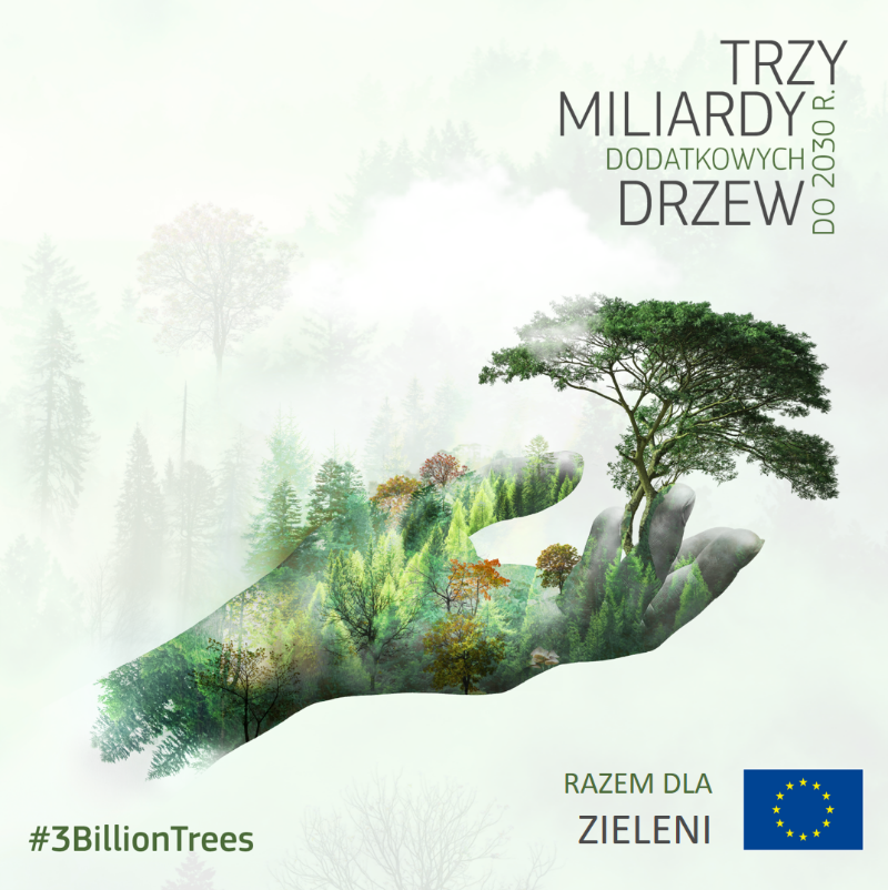 EUinWroclaw's tweet photo. Początek roku to czas noworocznych postanowień. Naszym postanowieniem już od kilku lat jest posadzenie trzech miliardów nowych drzew #3BillionTrees do 2030 r.
↓ Dołącz lokalnie do naszej kampanii
#EUForests 🇪🇺