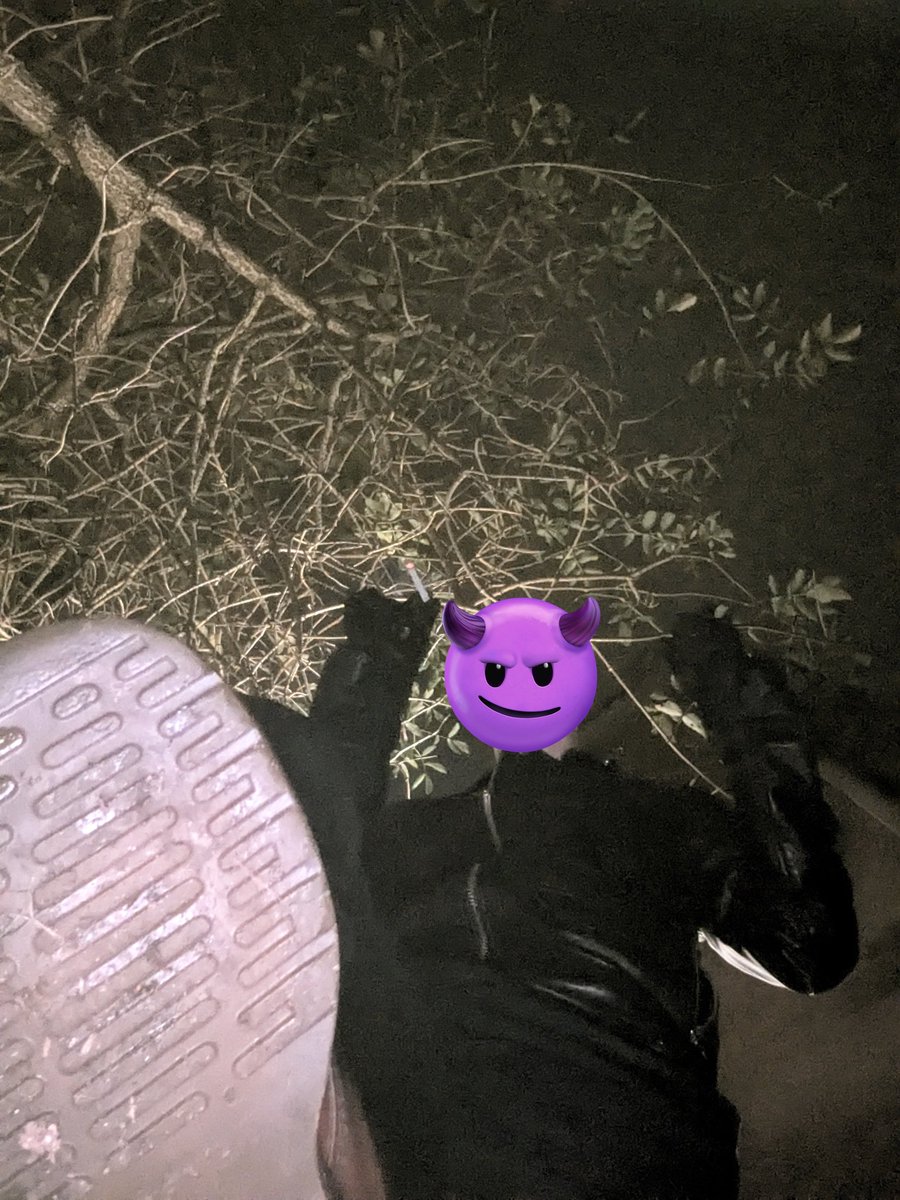 Master Mason - Skinhead Alpha tweet media