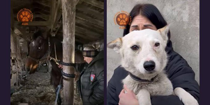 marillion13's tweet image. How the PETA-Backed Team Rescued Animals Just in Time, a video, taken near to the #Ukrainan frontline. 
💖💖💖
headlines.peta.org/ukraine-update…
